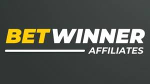 Exploring Opportunities with Betwiner Partner