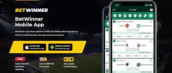 Exploring Opportunities with Betwiner Partner
